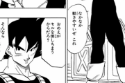 【尊い】ベジータ「貴様の活躍の場はないぞ」　悟空「おめえがセルを倒しちまうからだろ？」