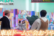 【日向坂46】若林さん「みんなのライブ観てオードリーで東京ドームライブやりたいって2人で決めた」