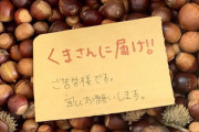 日本ヴィーガン協会、クマのためドングリを山に届けるクラファン実施 → 「生態系を破壊する行為」「野性動物への餌付けは危険」と非難殺到