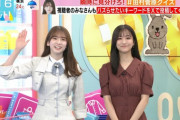 【乃木坂46】似てるwww 菅原咲月と田村真子アナの横並びの図、あまりに強すぎる【ラヴィット！】