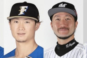 有原・西川・石川歩・山崎康晃←実際この4人獲るメジャー球団ってあるんか？