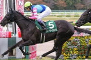 【競馬予想】[3]第73回阪神ジュベナイルフィリーズ(GⅠ) /2021
