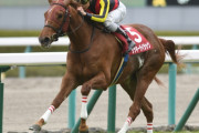 【大阪杯】ラッキーライラックの成績：牝馬限定（5,1,2,3）牡馬牝馬混合（0,3,0,0）