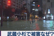【謎】武蔵小杉さん、「関東住みたい街ランキング」9位→20位に・・・なんでやろうなぁ?