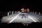 【動画】関越道を走行中にクマと衝突してしまったプラド乗りの車載。