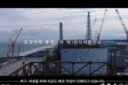 日本外務省の「福島原発安全」映像、韓国YouTube広告に登場　「旭日旗広報」に続き騒動に [4/1]  [新種のホケモン★]