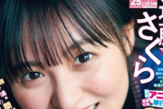 【乃木坂46】遠藤さくら『少年マガジン』表紙グラビアの癒し度が高すぎる・・・