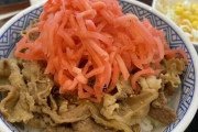 みんなスマン。今までイキって牛丼箸で食べたけどスプーンで食べるのにハマってる
