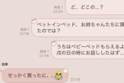 【悲報】母「孫ちゃんのベッド買ってあげたよ」娘「次は相談してね」→母発狂ｗｗｗｗ