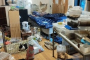 ワイの汚部屋見せてあげる → 汚部屋で動物飼った結果ｗｗｗ（※画像あり）