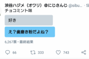 【悲報】渋谷ハジメ、医療事故を起こし罰としてチョコミントアイスを食す謝罪会見を開く