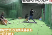 【悲報】奄美唯一のバッティングセンターが危機、支援募る「サッカーやバスケで野球人口減った・・・・」
