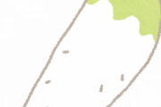 大根の葉っぱ捨てて良い？
