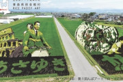 田んぼアートをウェブで公開！  …歴代写真ずらり、角田・羽生結弦選手の田んぼアートほか…　