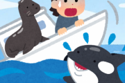【逃げてきた？】なぜか船上に乗ってきたアシカ、海中を見てみるとそこにはシャチの姿が・・・((((；ﾟДﾟ))))ｶﾞｸﾌﾞﾙ