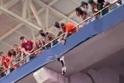 【動画】アメフト試合中に上階客席からネコが落下→ 観客らの機転で九死に一生！！
