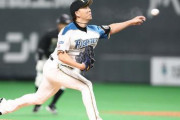 12球団のセットアッパー成績ｗｗｗｗｗｗｗｗ