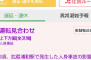 【武蔵野線飛び込み自殺】ホームから飛び降りた男性が電車に轢かれた瞬間を見てしまった