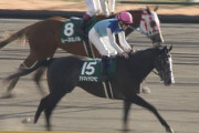 【競馬】アドマイヤミヤビの鞍上は誰になるの？