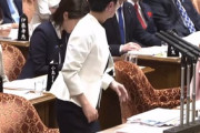 【コント】蓮舫「3党の実務者協議で合意した『令和9年1月までに結論を得ることとする』、これを無かったことにするんですか？」 高市総理「令和9年…、いま令和7年…」
