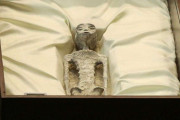 「宇宙人の遺体」、メキシコ議会で公開　UFO巡り公聴会