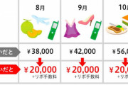 【画像】リボ払いのお得さが一目で分かる画像がこちら！！