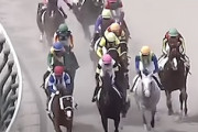 【動画】阪神７レースで落馬した藤岡康太騎手が亡くなる。