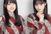 【乃木坂46】この2人のWセンターはいつか見てみたい。