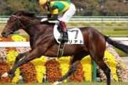 【本日の注目馬2頭】大塚亮一の4.7億円馬リアド、ぐりぐり君の最高落札額馬ボルザコフスキーが出走