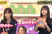 【乃木坂46】設楽統推薦 実況『最強スナックしょっぱい味編』裏の文章がカワイイ～?ハートチップル【乃木坂工事中】