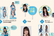 【日向坂46】2025年福袋、このグッズはマジでビックリする