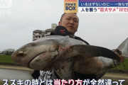 韓国人「日本の川で釣れる魚がマジでヤバ過ぎた‥」→「スープを作る時に入れるとおいしい」　韓国の反応