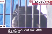 【悲報】秋田県美郷町でのクマ駆除、県外からの抗議が多いらしい