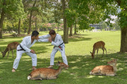 【画像】奈良公園で柔術しているところを撮るという依頼の仕事きたけどｗｗｗ
