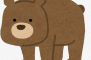 【エグい】X民さん『今年クマが目撃された市区町村をまとめてみた』