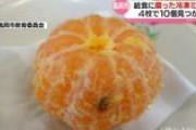 腐ったミカンが…　給食に提供・4校で10個　富山県