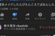 【速報】椎木里香さん「ぴえん越えてぱおんした」