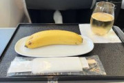 【悲報】JALビジネスクラス搭乗のヴィーガン客が激怒「機内食がバナナ1本だった」「ヴィーガンでない乗客には、炙りマグロにモロッコ風なすサラダ、2種チーズのオレンジサルサ添え、バゲットがサーブされた」