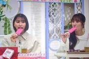 しおりん＆あーりん『新潟一番』感想まとめ！｢マジで2人とも可愛かった」｢3連続で新潟のスイーツをGET」｢もも太郎カステラも、ももポッポ焼き知らなかった」