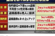 【お前らオワタ】Pチラ画像を誰かにあげたら3年以下の懲役。ネットに上げたら懲役5年。持ってたら2年