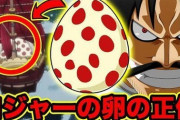 ワンピースがあと5年で完結するらしいけどロジャーの船に乗ってたタマゴがワンピース説あるよな？