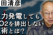 池田清彦「太陽光発電は原発の100倍土地が必要」