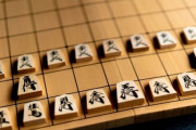 将棋「駒の動きは覚えたかな？?」僕「うん！」将棋「あっそ。じゃああと好きに遊んで」