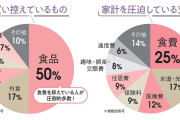 「まとめ買いして冷凍、家庭菜園も」「スーパーの蒸留水をもらいに1日4往復」辛い家計で、買い控えているもの3位「旅行」2位「外食」1位は…