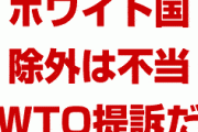 韓国政府「日本のホワイト国除外は不当！WTOに提訴する！」　さっさとやれ