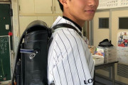 画像　ロッテ藤原、ランドセル姿を披露！