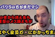 フランス人「Vtuberは性を売りものにしてるただのネット娼婦だ」