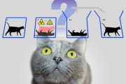 「量子コンピュータの仕組み」を猿でも分かるように説明してくれ！