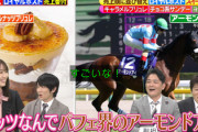 【櫻坂46】菅井友香「パフェ界のアーモンドアイ笑」まさかの例えに競馬好き共演者のテンションが上がるw【林修のニッポンドリル】