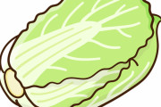 【画像】大量に余ってる『白菜』の消費方法がコチラｗｗｗｗｗ